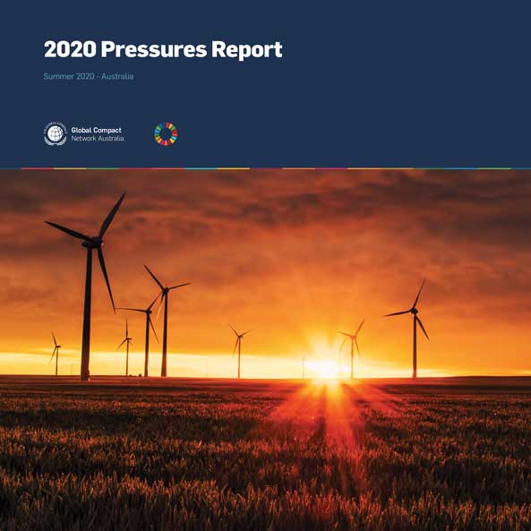 2020 Pressures Report