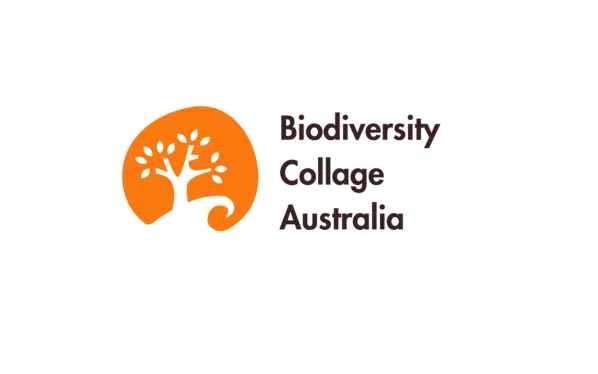 Biodiversity Collage Biodiversity Collage